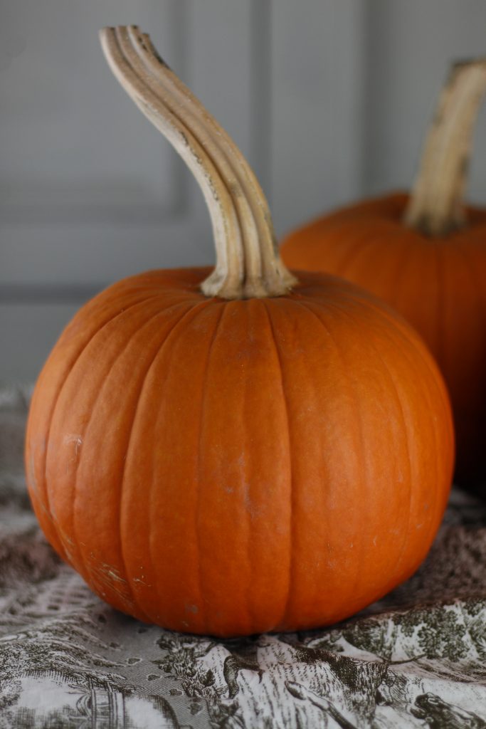 image of a pumpkin close-up and one in the background 