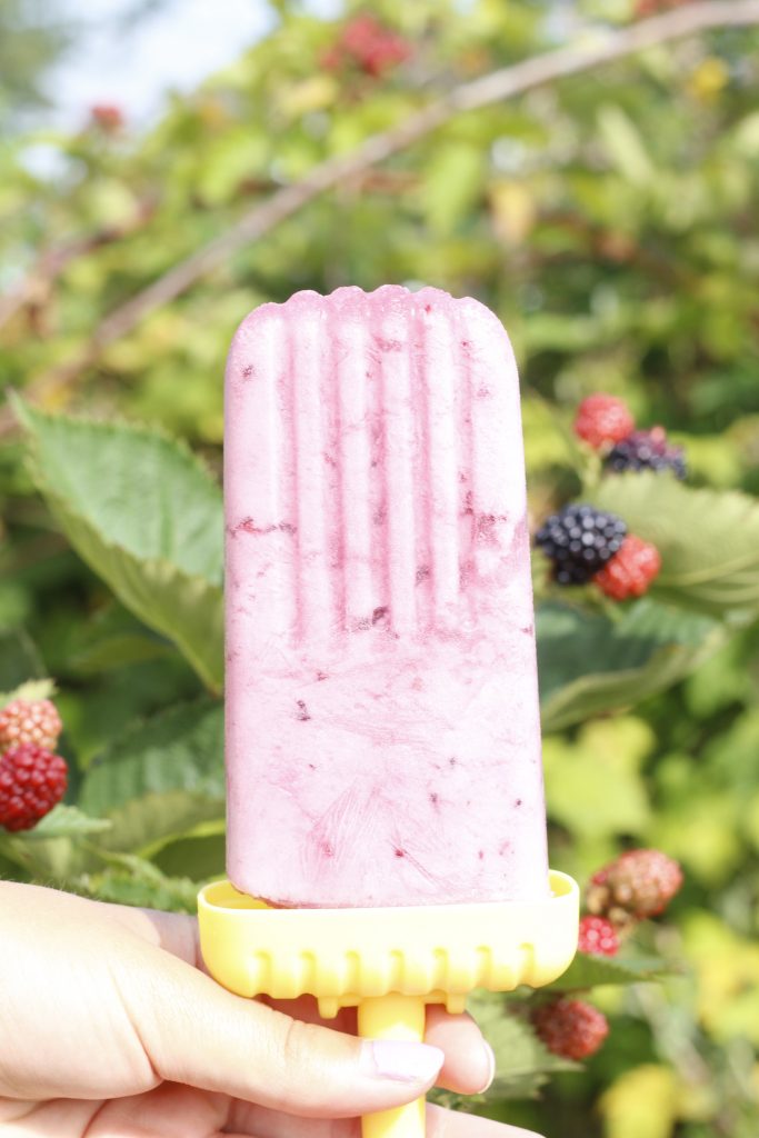 close-up photo of Coconut Berry Kombucha Popsicle being held up in front of a blackberry bush