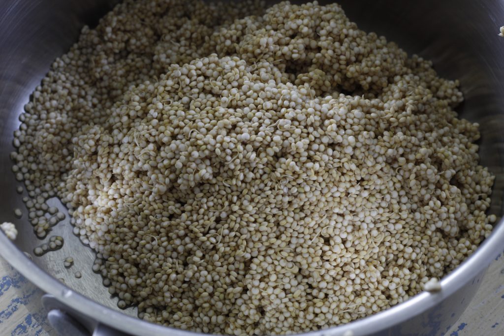 close-up image of soaked quinoa drained and in a saucepan