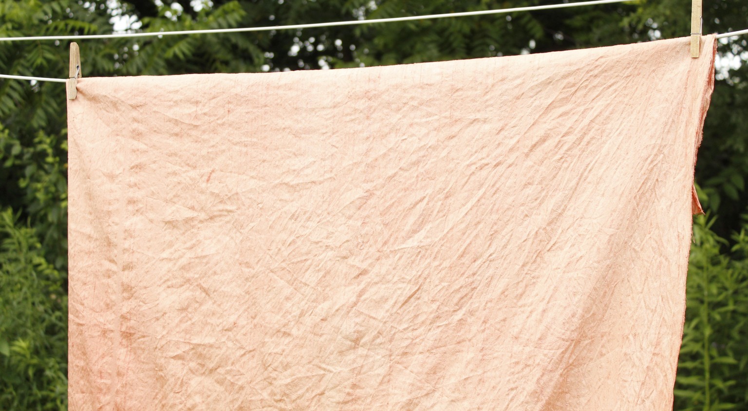 This image shows a length of peach colored silk fabric hung to dry on a clothesline outside, the fabric has been dyed with natural dye.